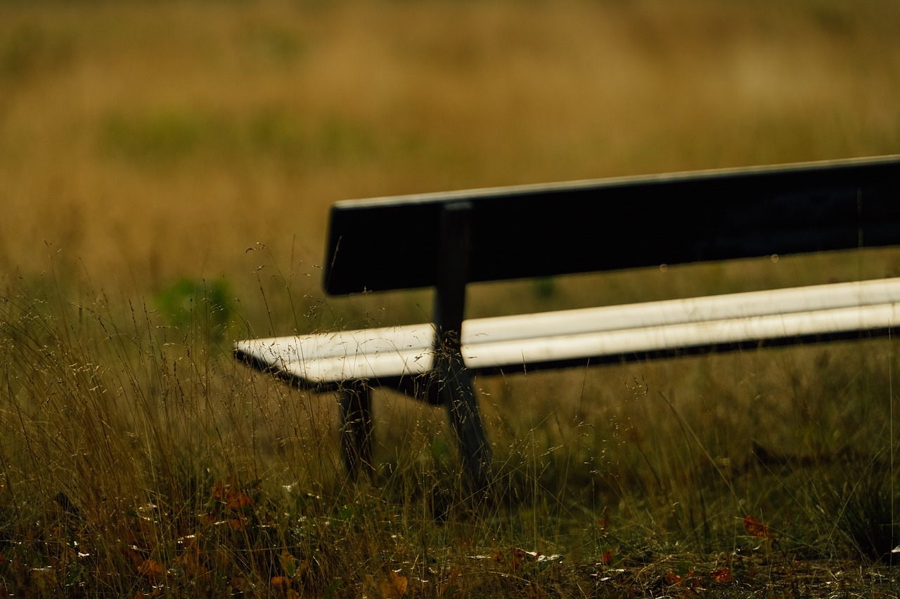 The Influence of Mood on Consciousness